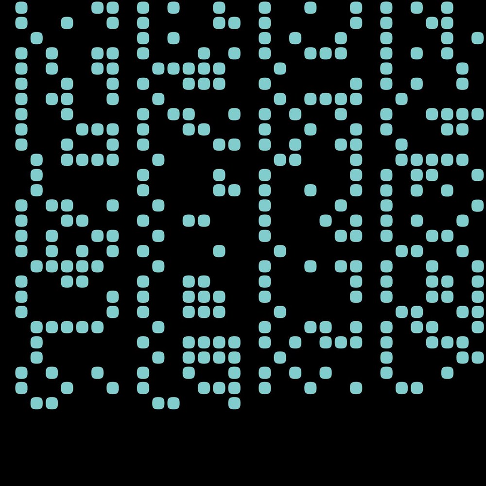 binary001