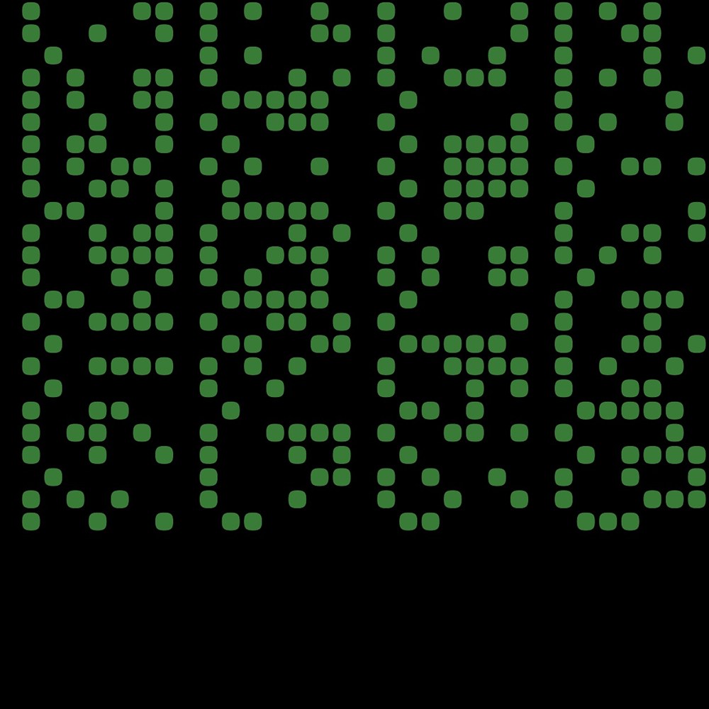 binary008
