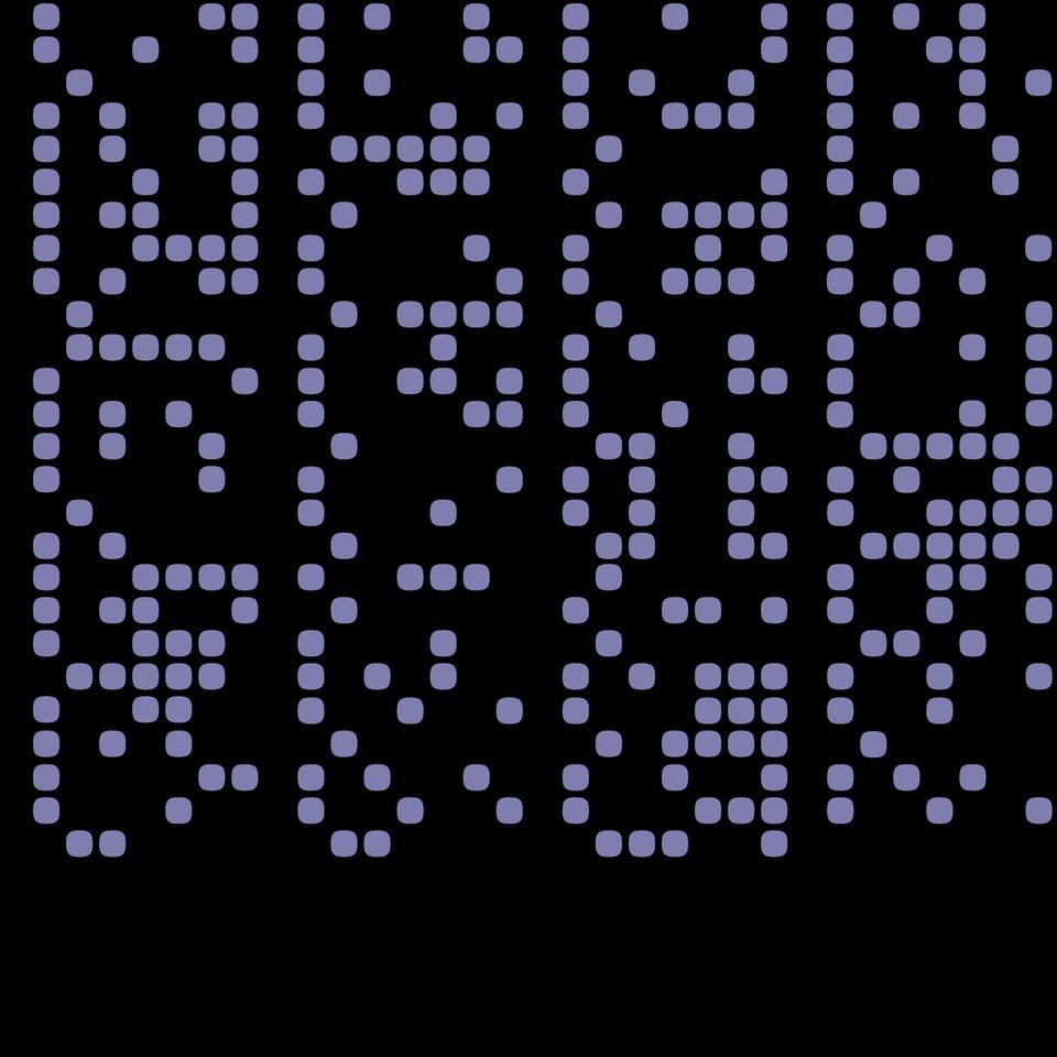 binary009