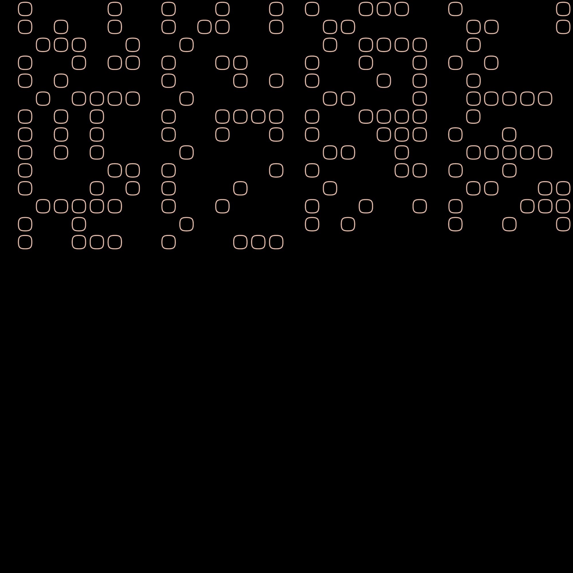 binary019