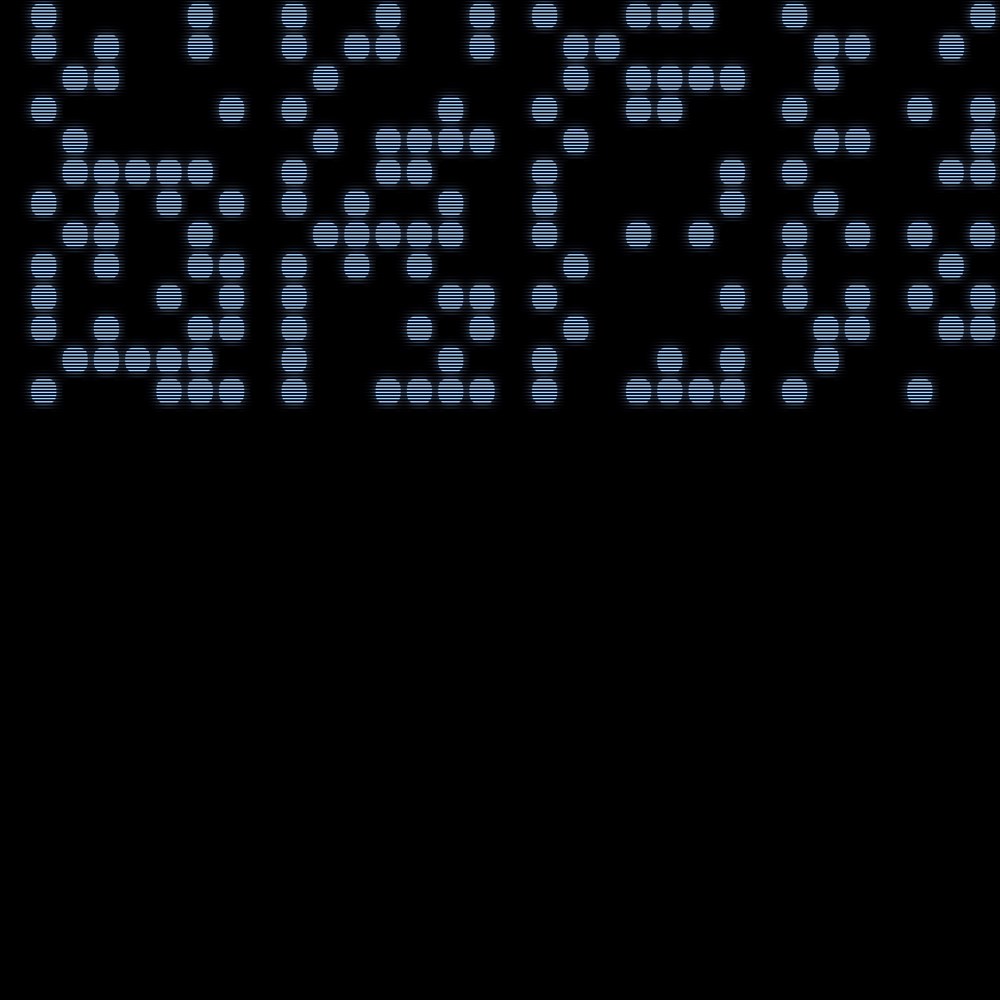 binary020