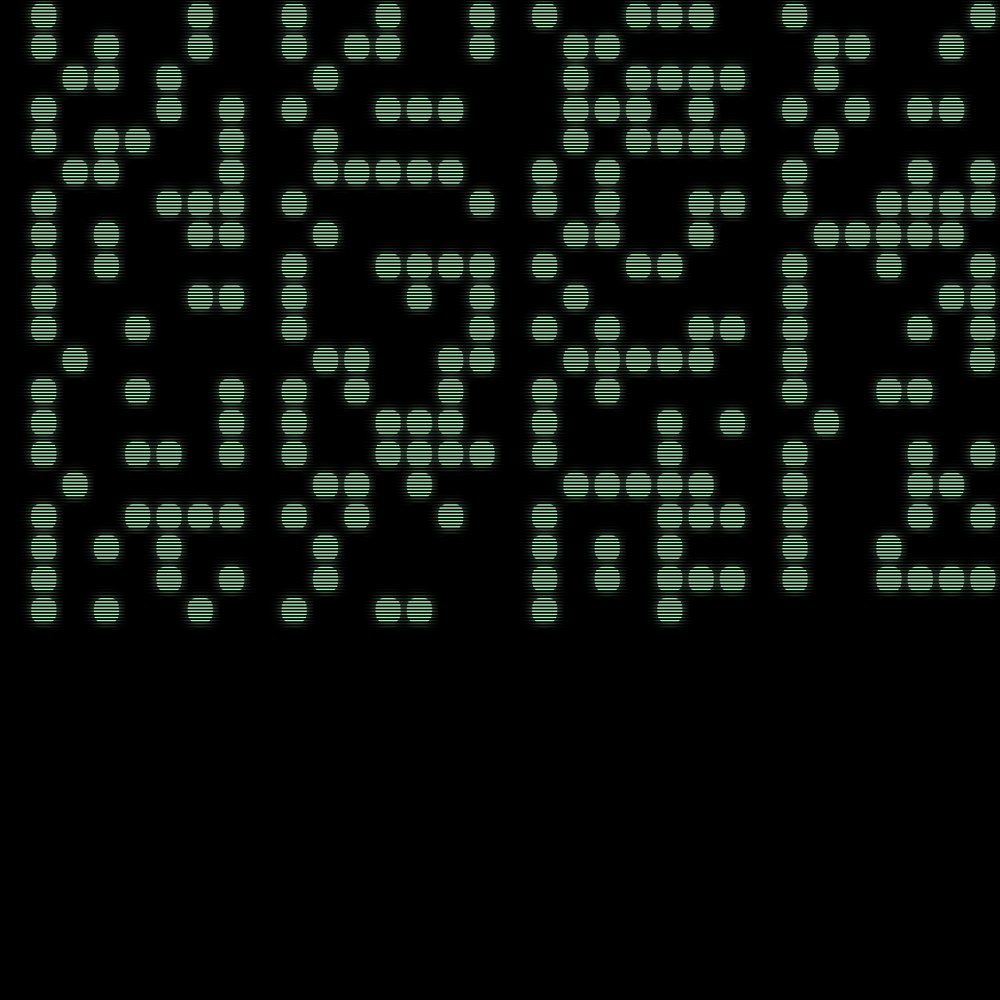 binary024