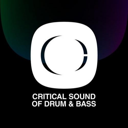 critdigi001d
