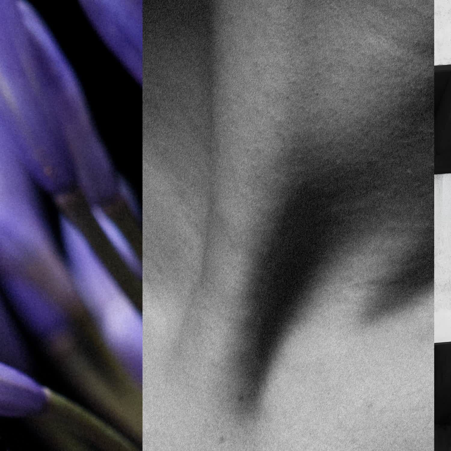 critlp023s1