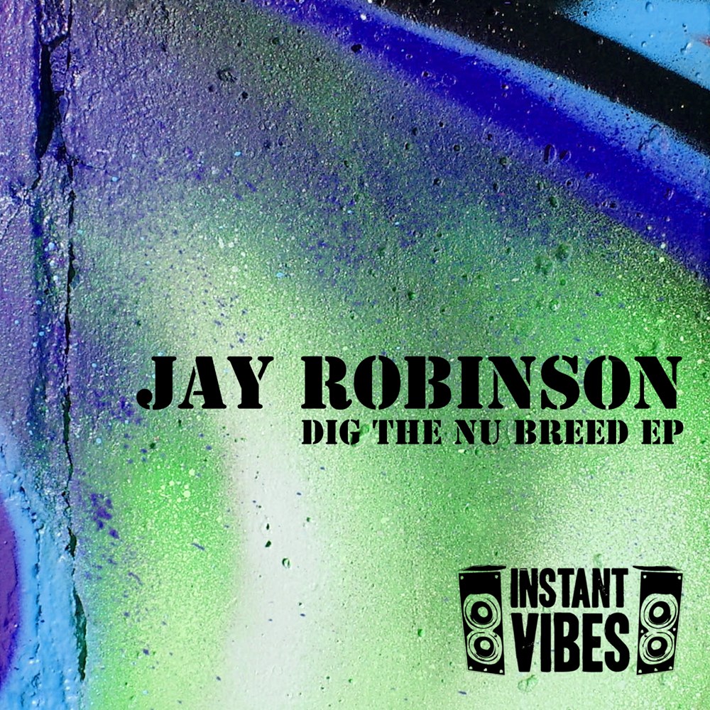 ivibes003