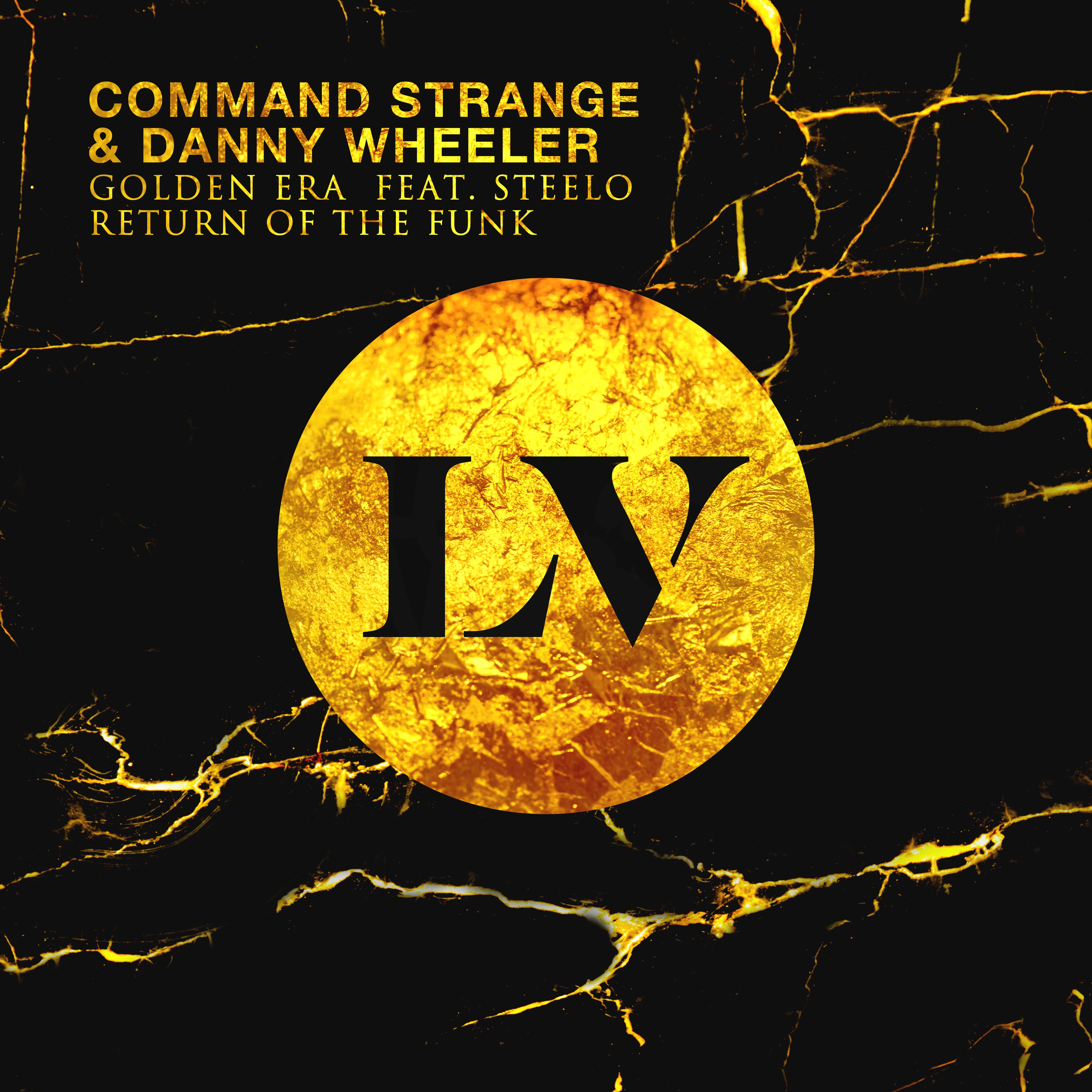 lv081dd