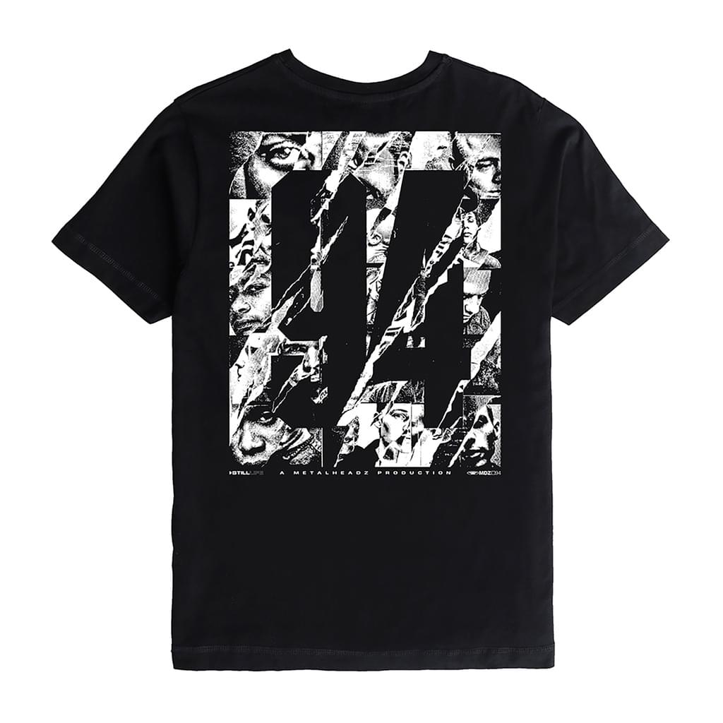 mdzslts12