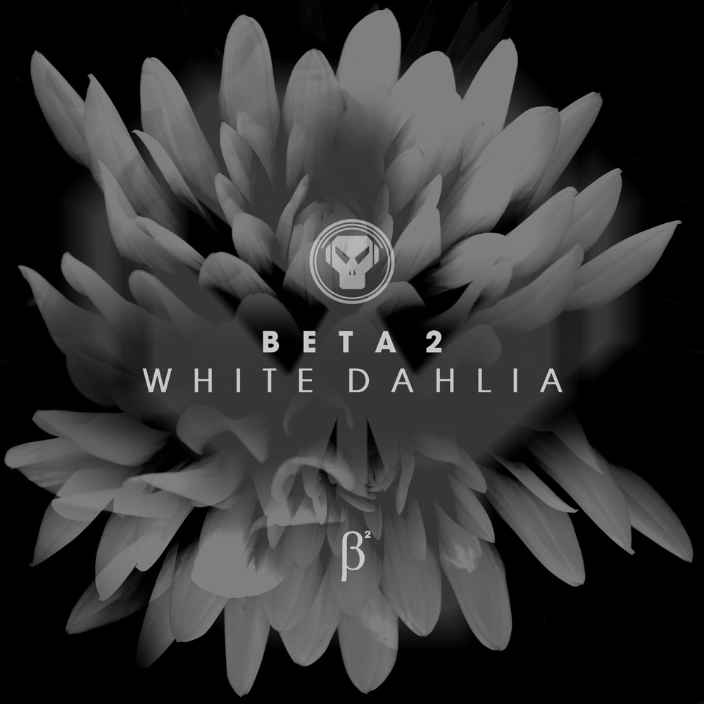meta111d