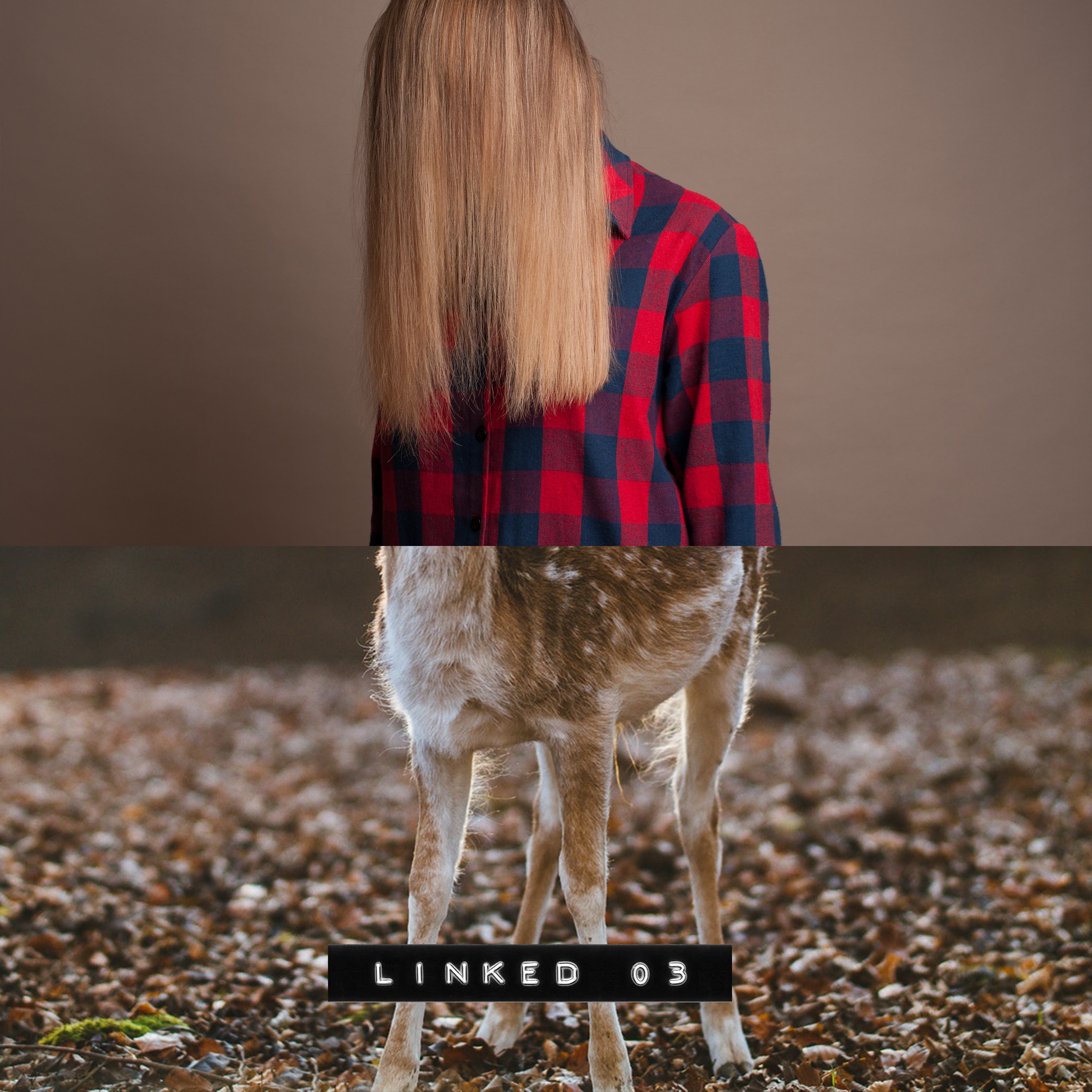 neolink003