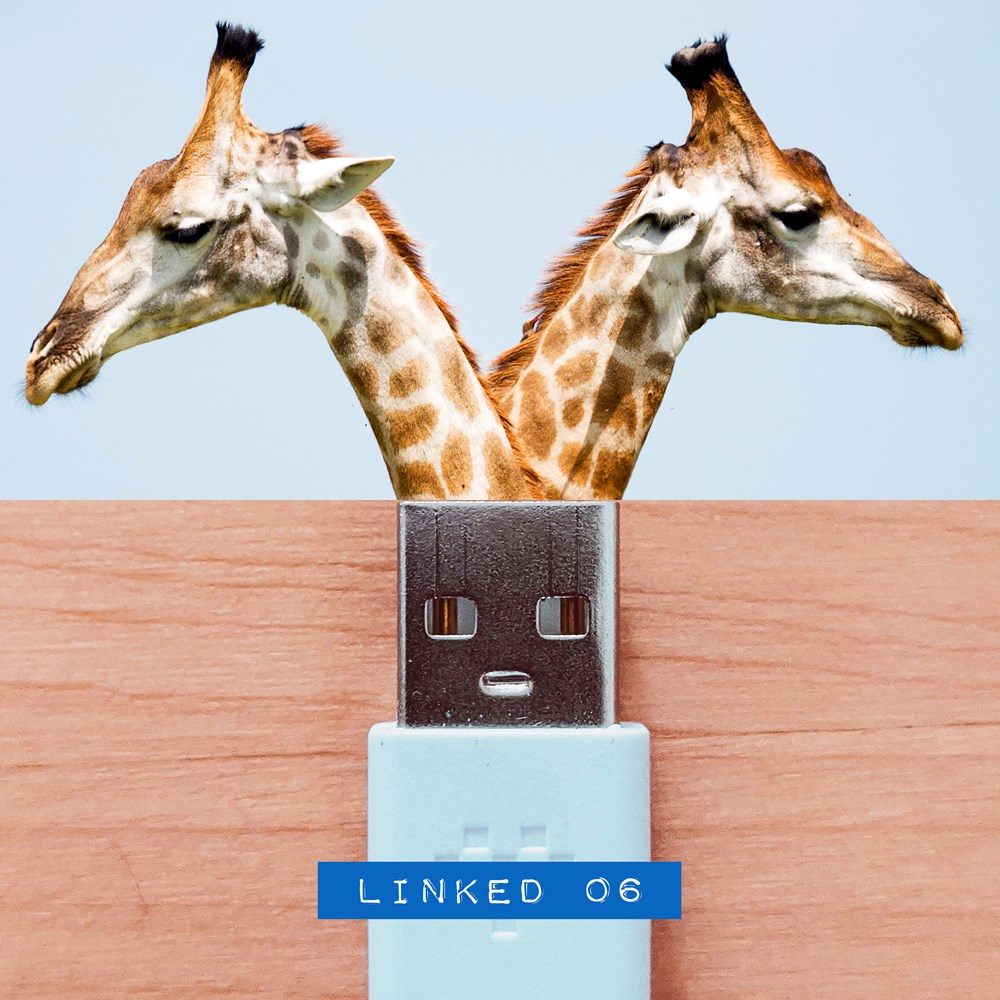 neolink006d