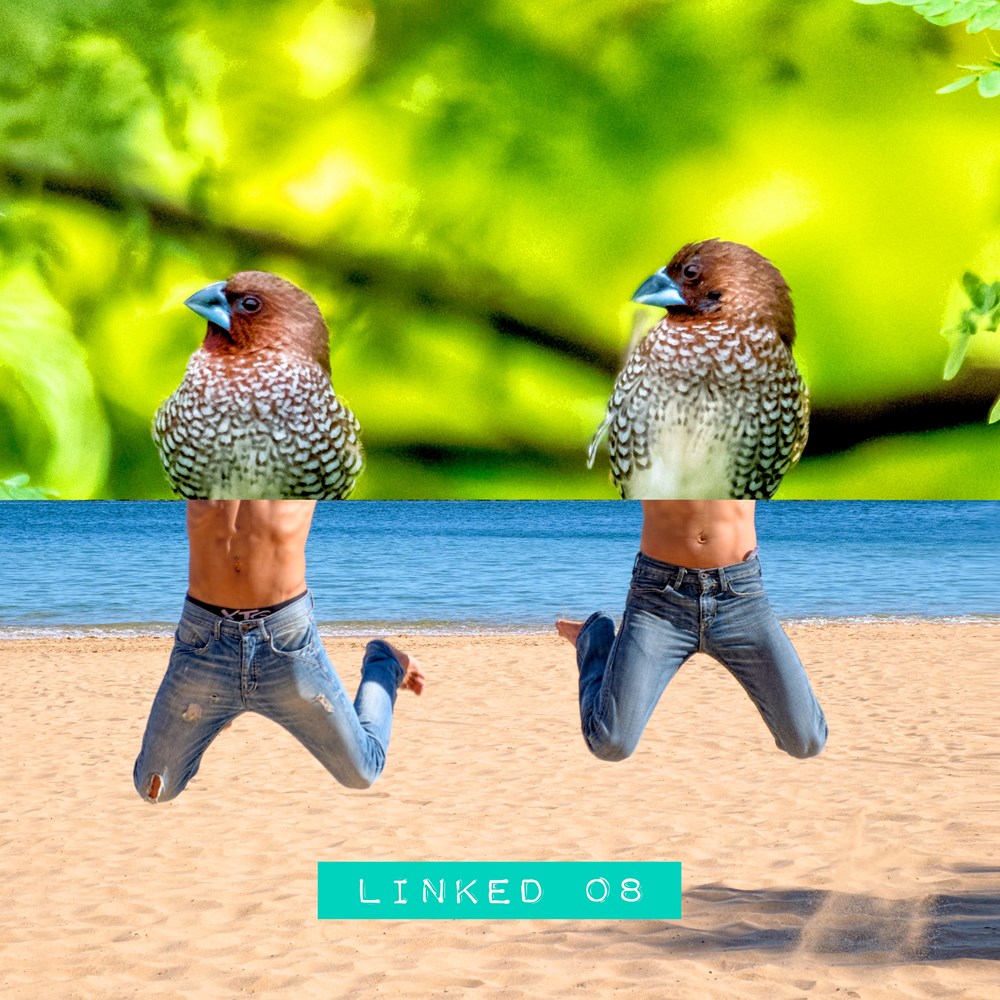 neolink008d