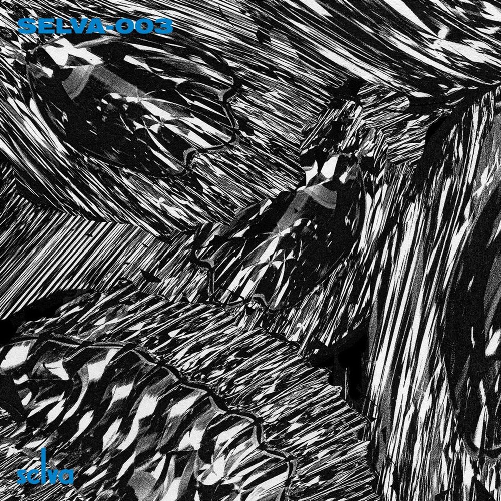 selva003d