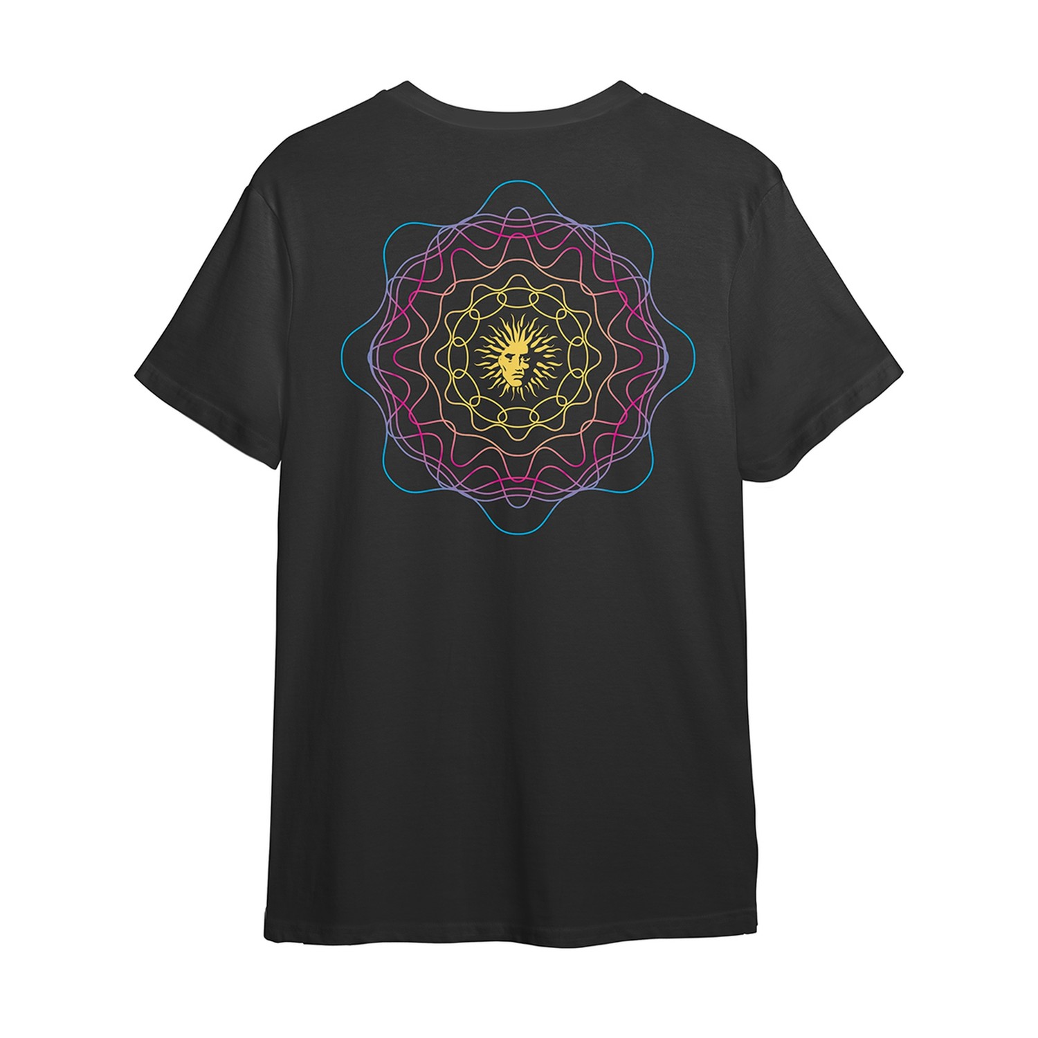 plv244ts01
